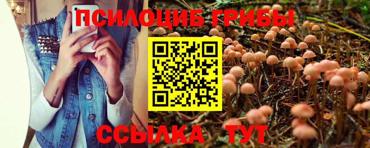 Псилоцибиновые грибы GOLDEN TEACHER Коркино