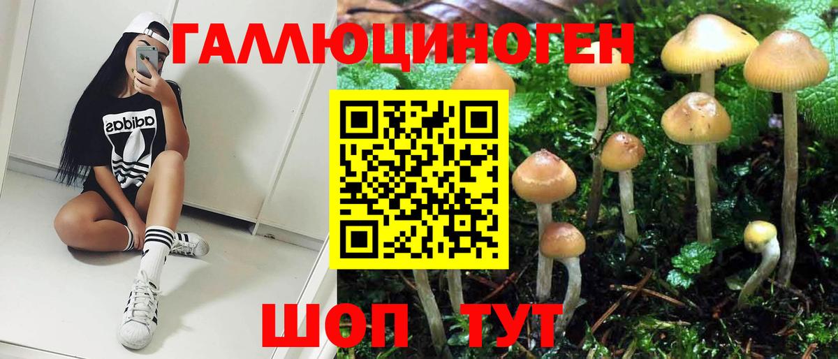 Псилоцибиновые грибы мицелий  хочу   Коркино  Вход с VPN  Галлюциногенные грибы MAGIC MUSHROOMS 